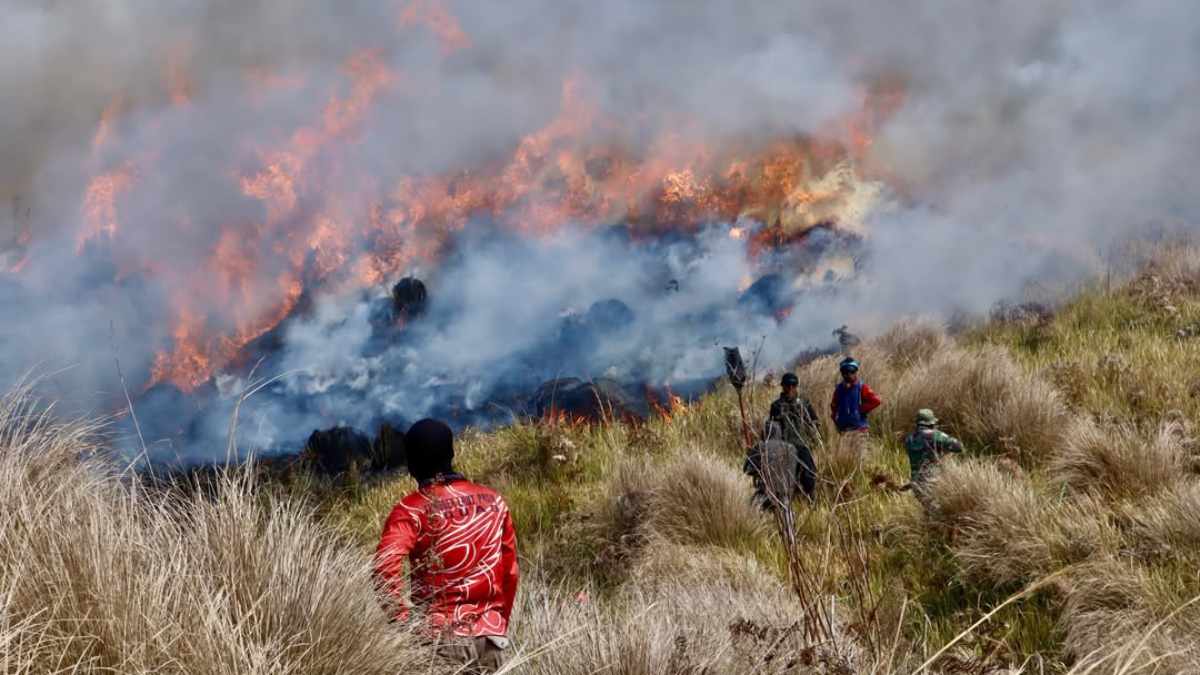 Karhutla Meluas, TNBTS Tutup Total Wisata Bromo Mulai 8 Agustus 2026 - EPOCHSTREAM