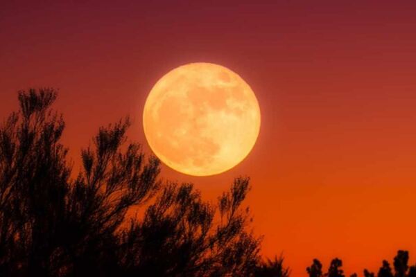 Jadwal Puncak Harvest Moon 26-27 September 2026 di Indonesia dan Tips Mengamatinya - EPOCHSTREAM