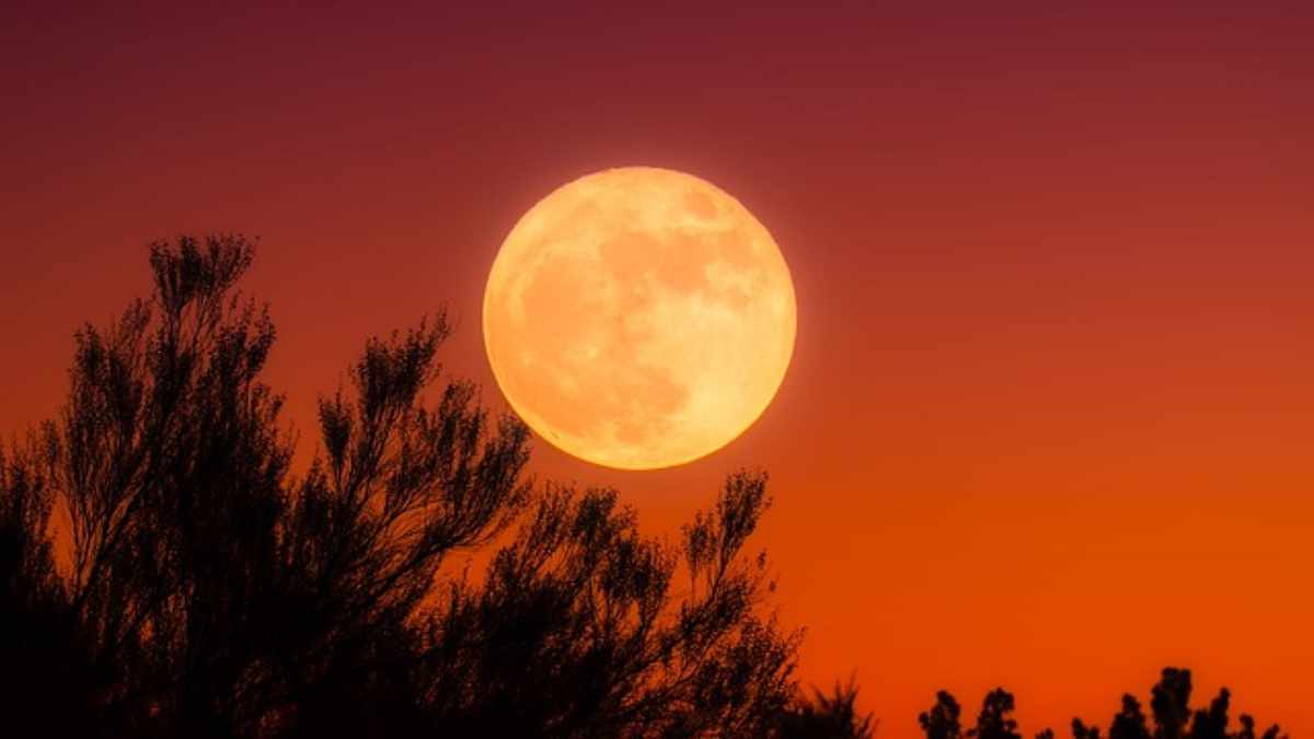 Jadwal Puncak Harvest Moon 26-27 September 2026 di Indonesia dan Tips Mengamatinya - EPOCHSTREAM